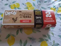 Uova allevate a terra