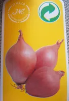 Scalogno