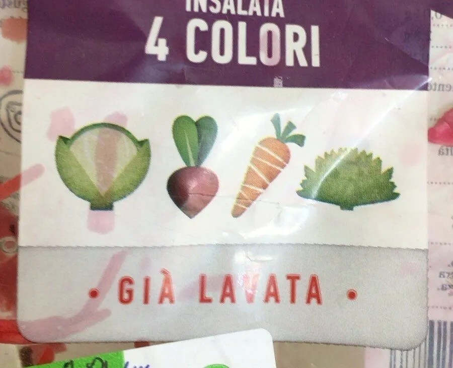 Insalata 4 colori