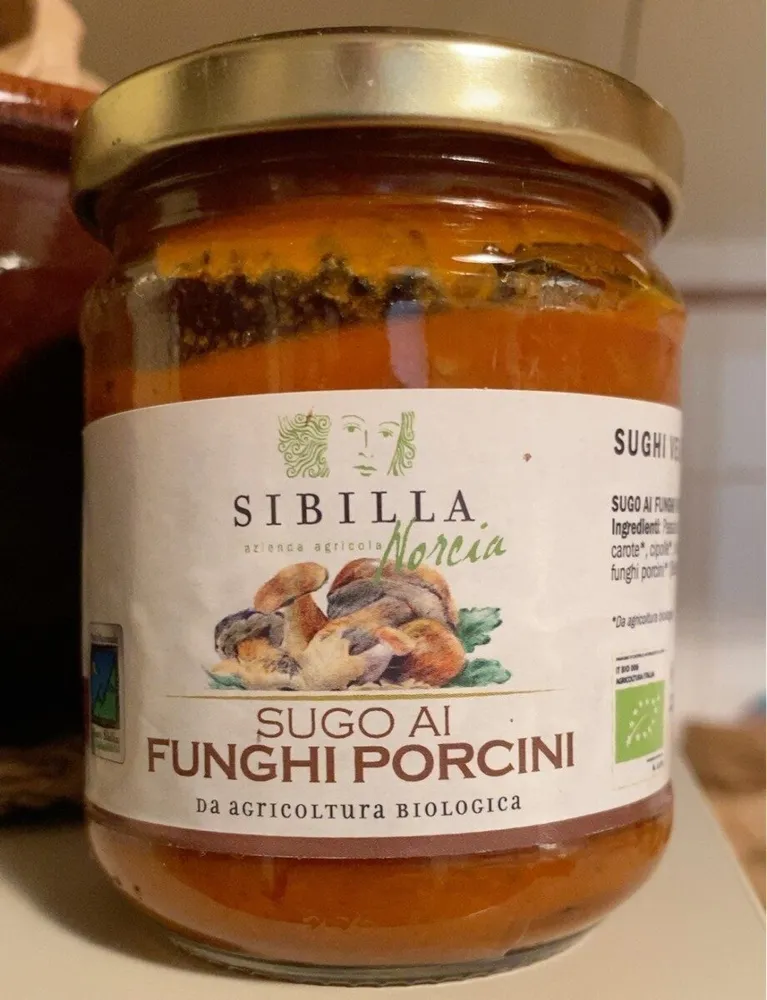 Sugo ai funghi porcini