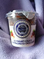 Yogurt colato