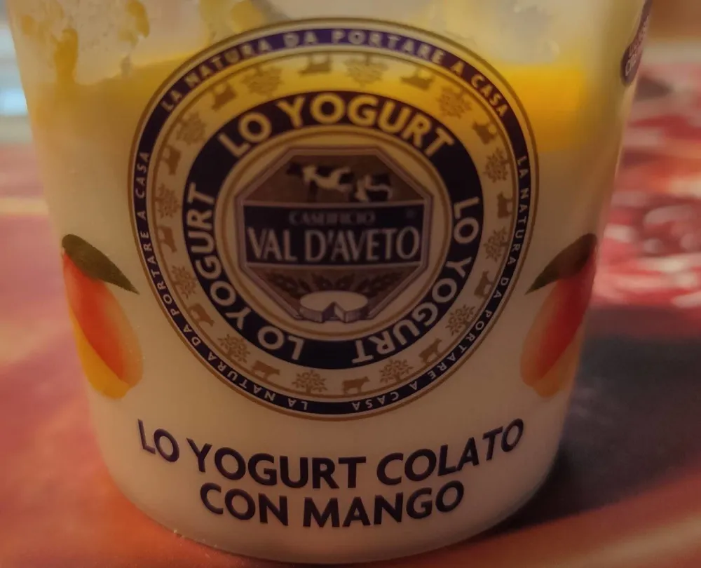 Yogurt colato