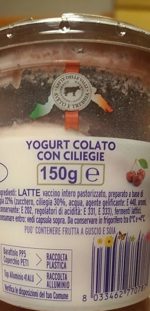 Yogurt