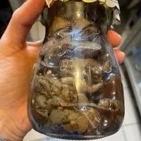 Pomodori secchi conditi alla massaia