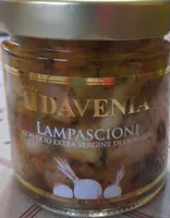 Lampascioni
