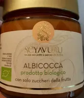 Albicocca