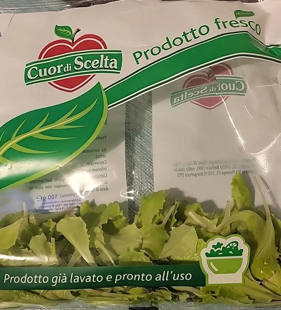 Lattughino