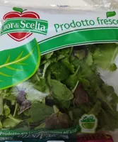 Insalata misticanza