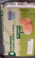 Uova fresche