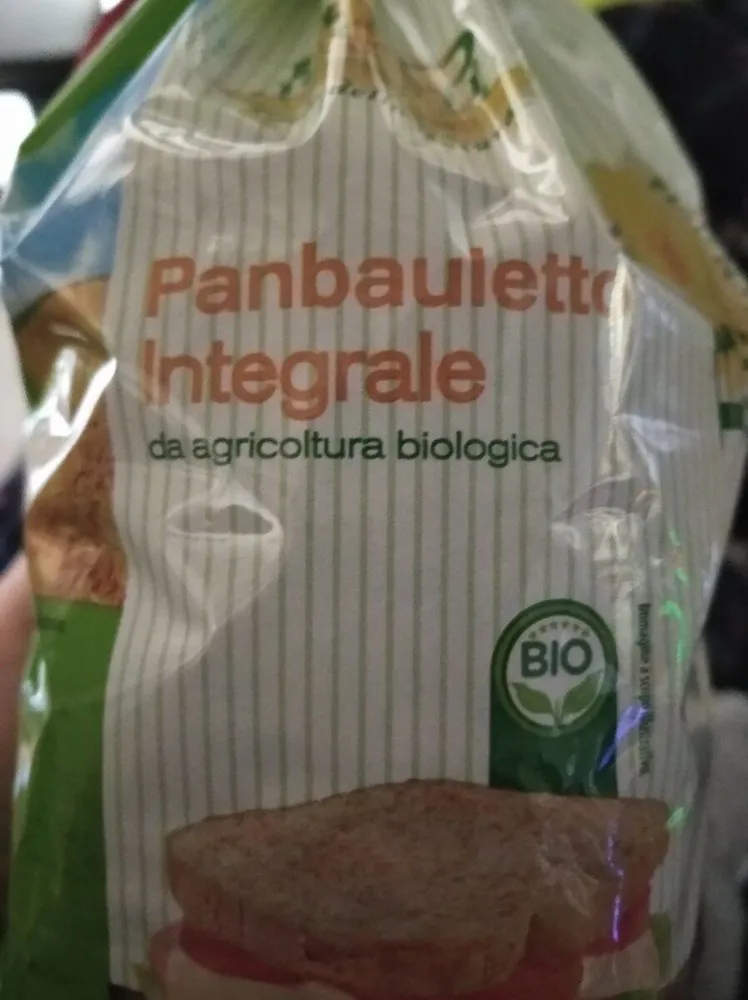 Panbauletto integrale