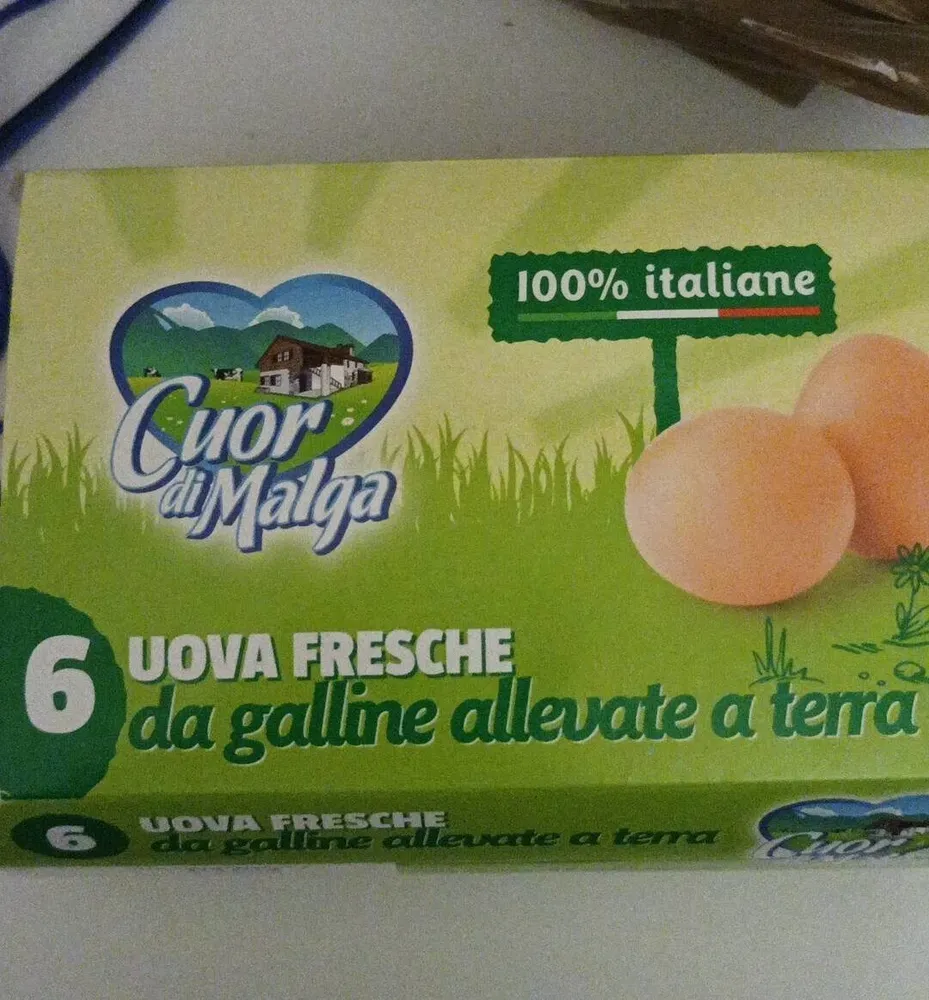 Uova fresche