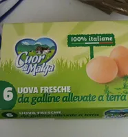 Uova fresche