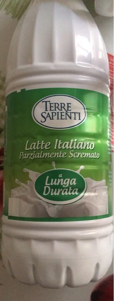 Latte