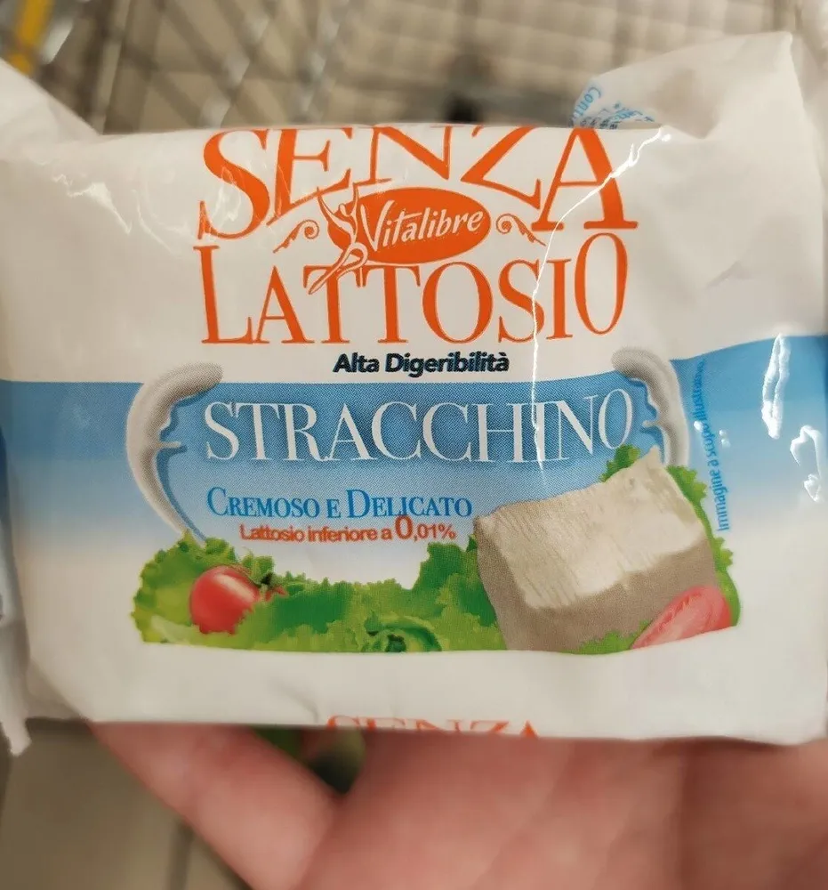 Stracchino senza lattosio