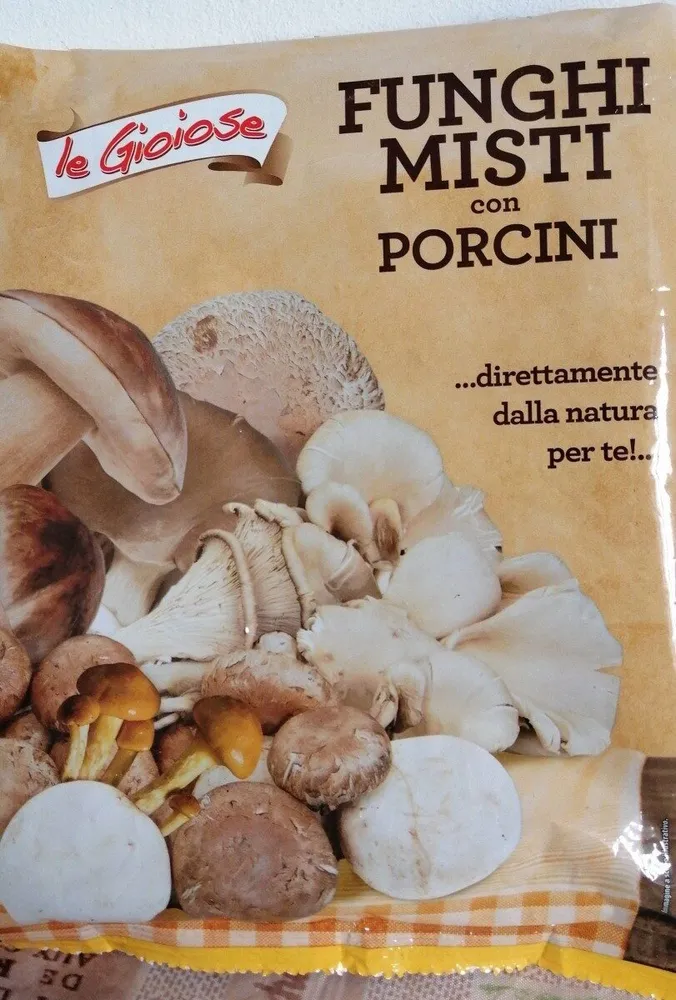 Funghi misti con porcini