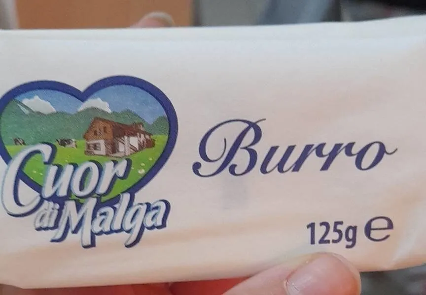 Burro