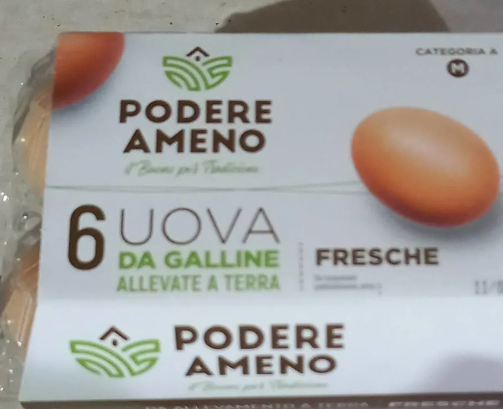 Uova da galline allevate a terra fresche