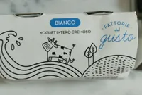 Yogurt bianco intero cremoso