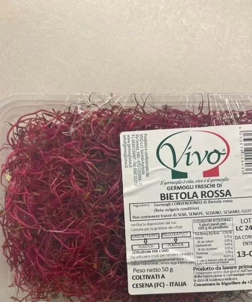 Bietola rossa