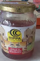 Rippa apicoltura