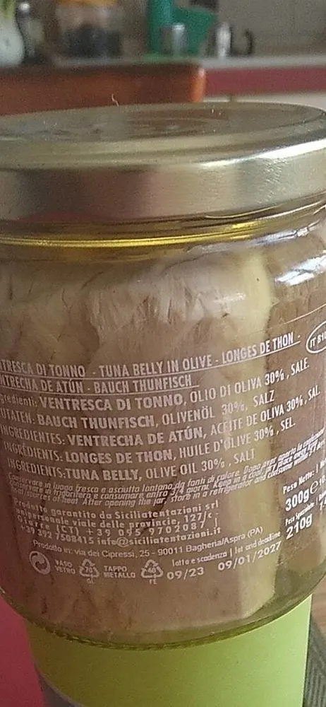 Ventresca di tonno