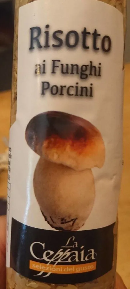 Risotto ai porcini
