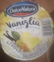 Yogurt intero vaniglia