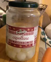Cipolline