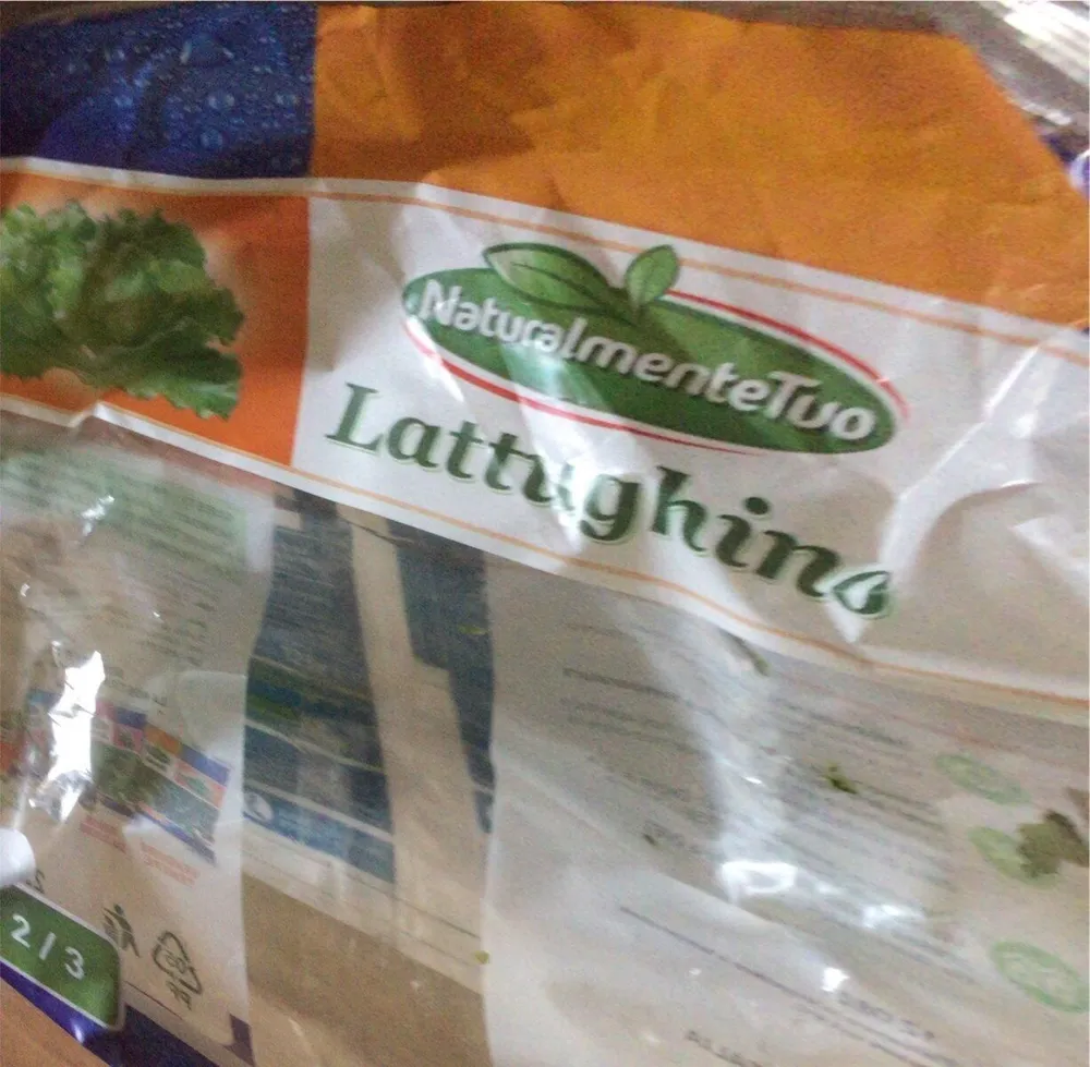 Lattughino