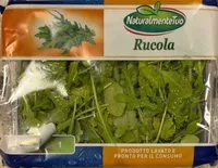 Rucola