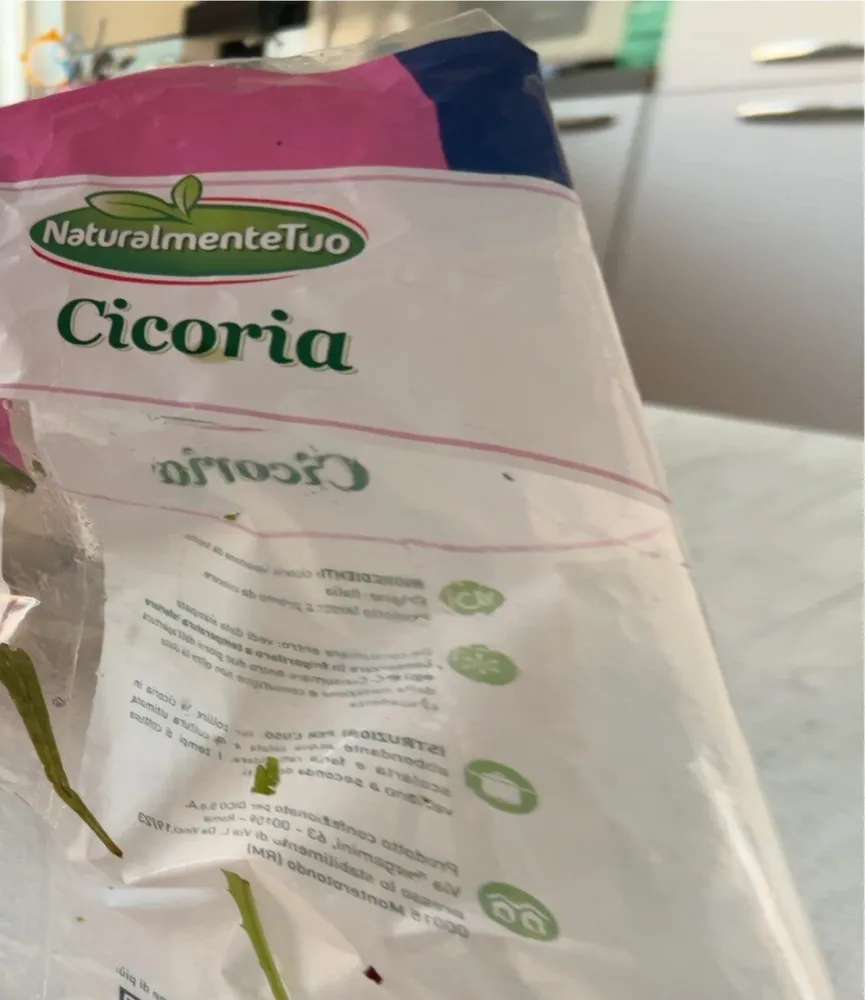 Cicoria