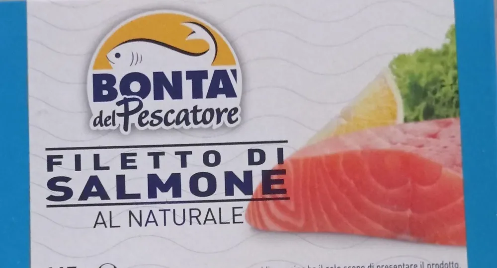 Filetti di Salmone al naturale