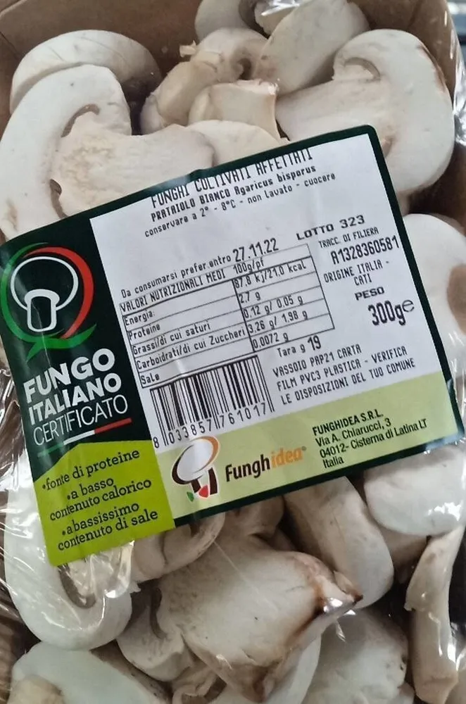 Fungo italiano certificato
