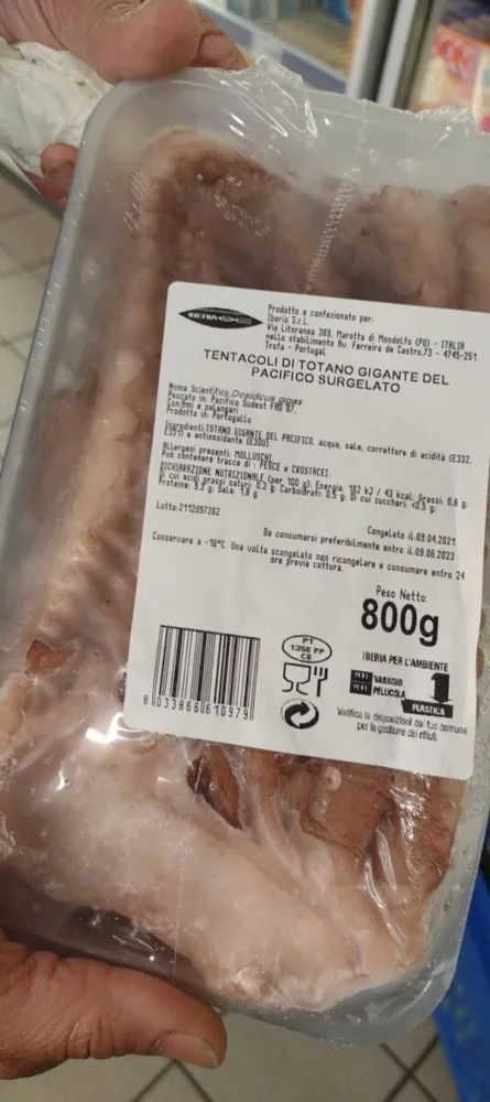 Tentacoli di totano gigante del pacifico