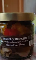 Funghi cardoncelli
