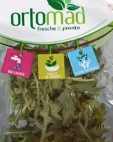 Rucola