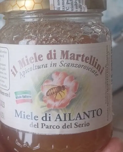 Miele di Ailanto
