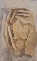 Sfoglie di torrone friabile al miele