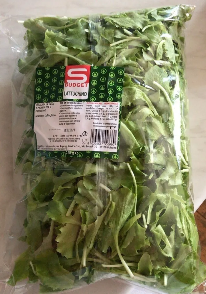 Lattughino