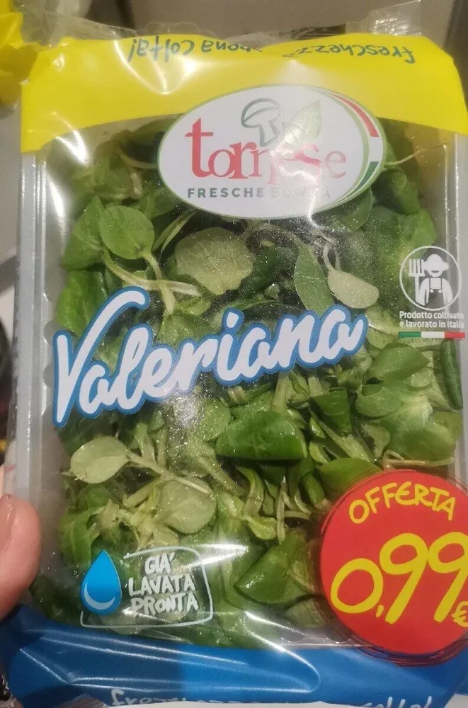 Insalata Valeriana