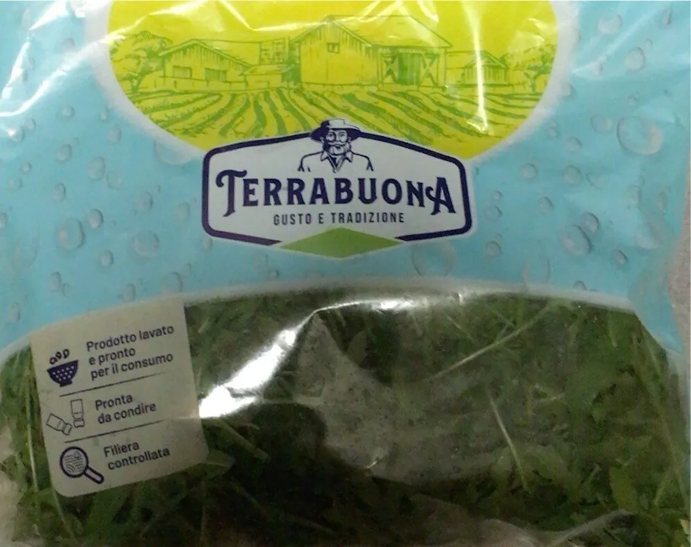 Rucola