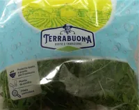 Rucola