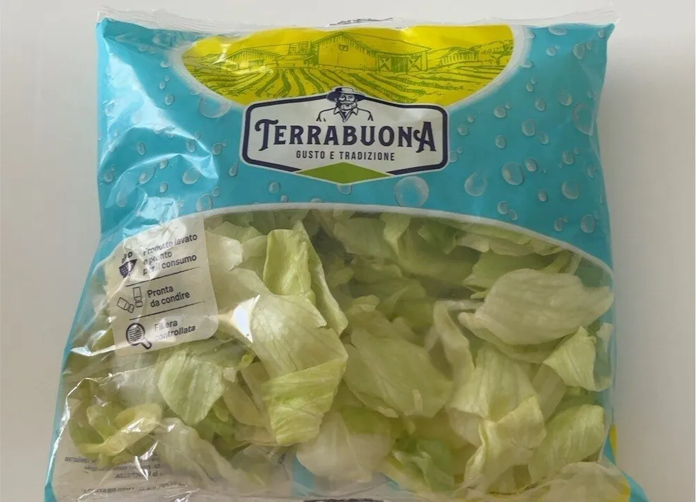 Iceberg