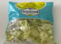 Iceberg