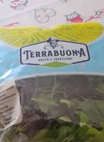 Terrabuona insalata