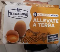 Uova terra buona