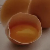 uova