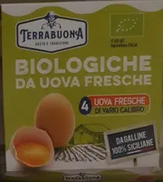 Uova biologiche fresche