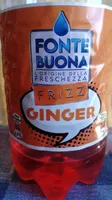 Ginger - Frizz