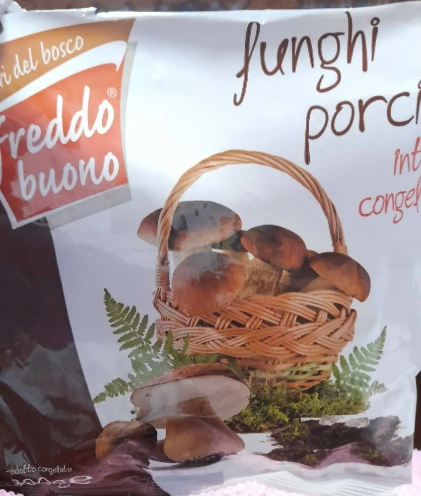 Funghi porcini